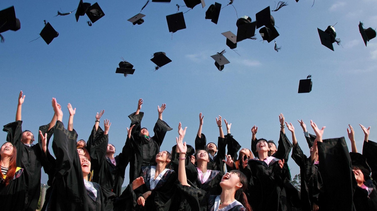 Faculty Research Excellence
